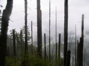 5.7.06 Wauna Point 016 